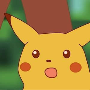 Meet your Posher, Sunny